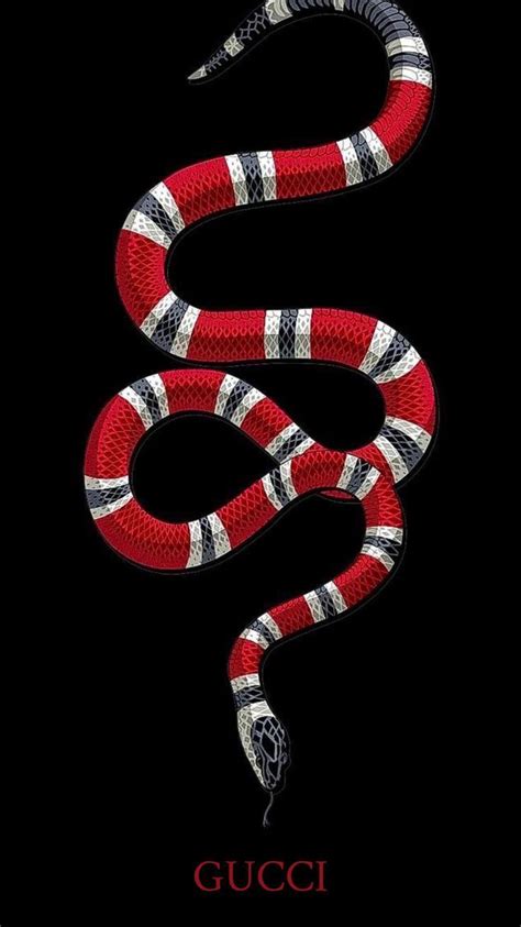 gucci cinta serpente|origin of gucci snake.